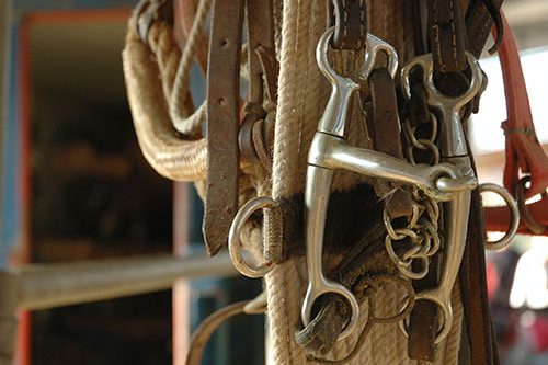 Tack and supplies hanging in a stable